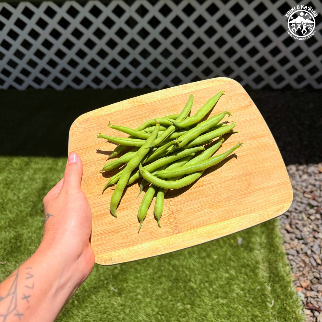 KOKA Farms: Green Beans