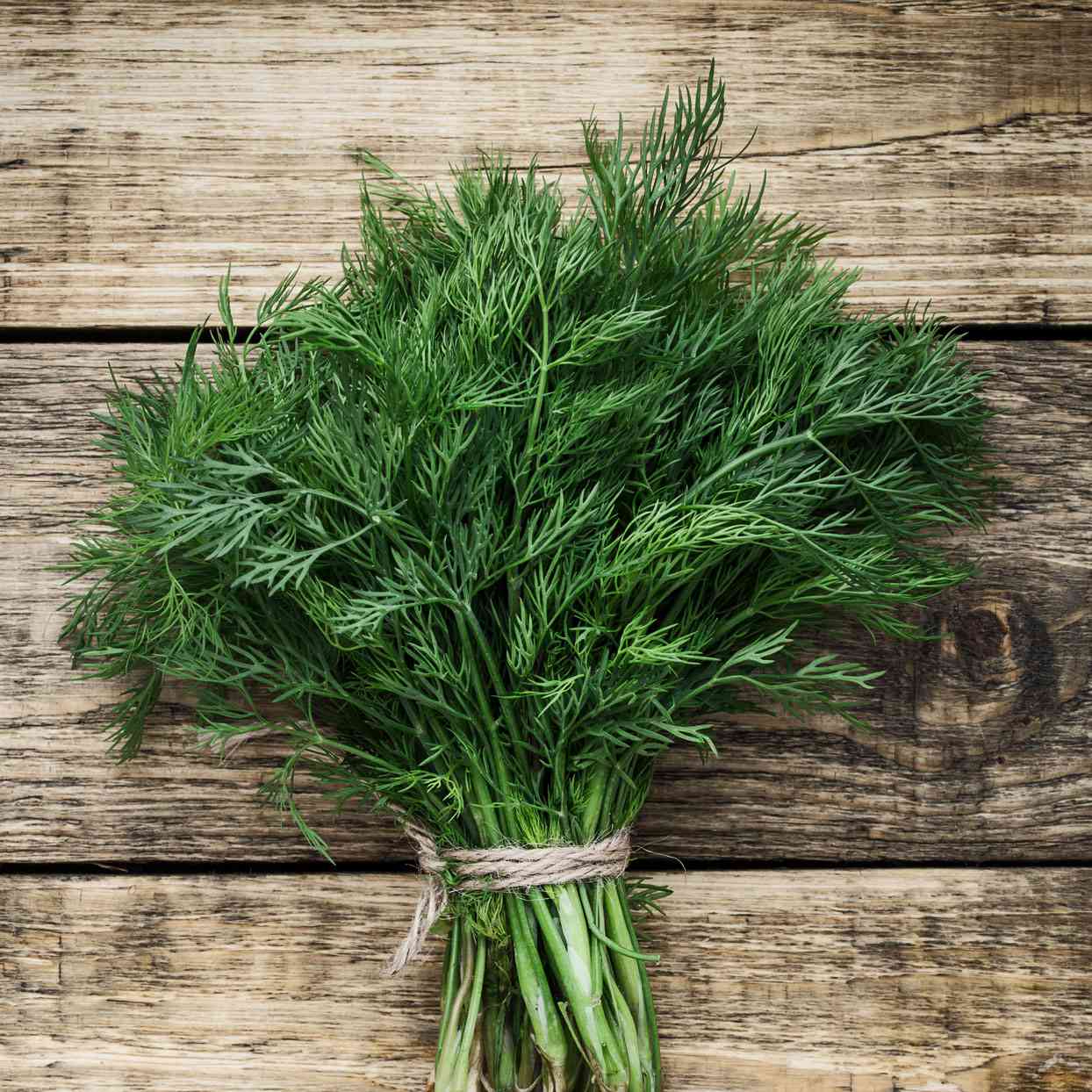 KOKA Farms: DIll