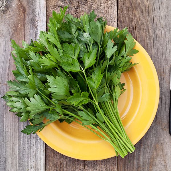 KOKA Farms: Parsley