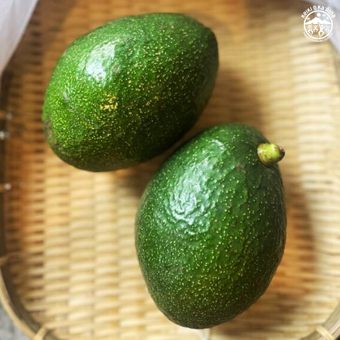 KOKA Farms: Avocado