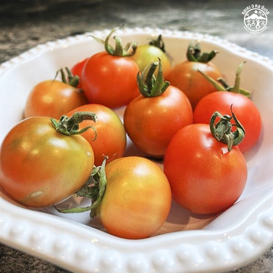 KOKA Farms: Large Cherry Tomato