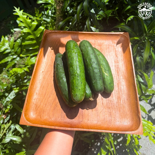KOKA Farms: Cucumber