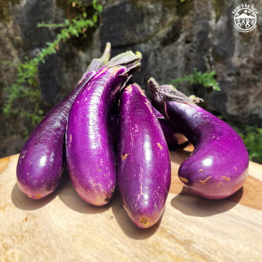 KOKA Farms: Eggplant 1 lb
