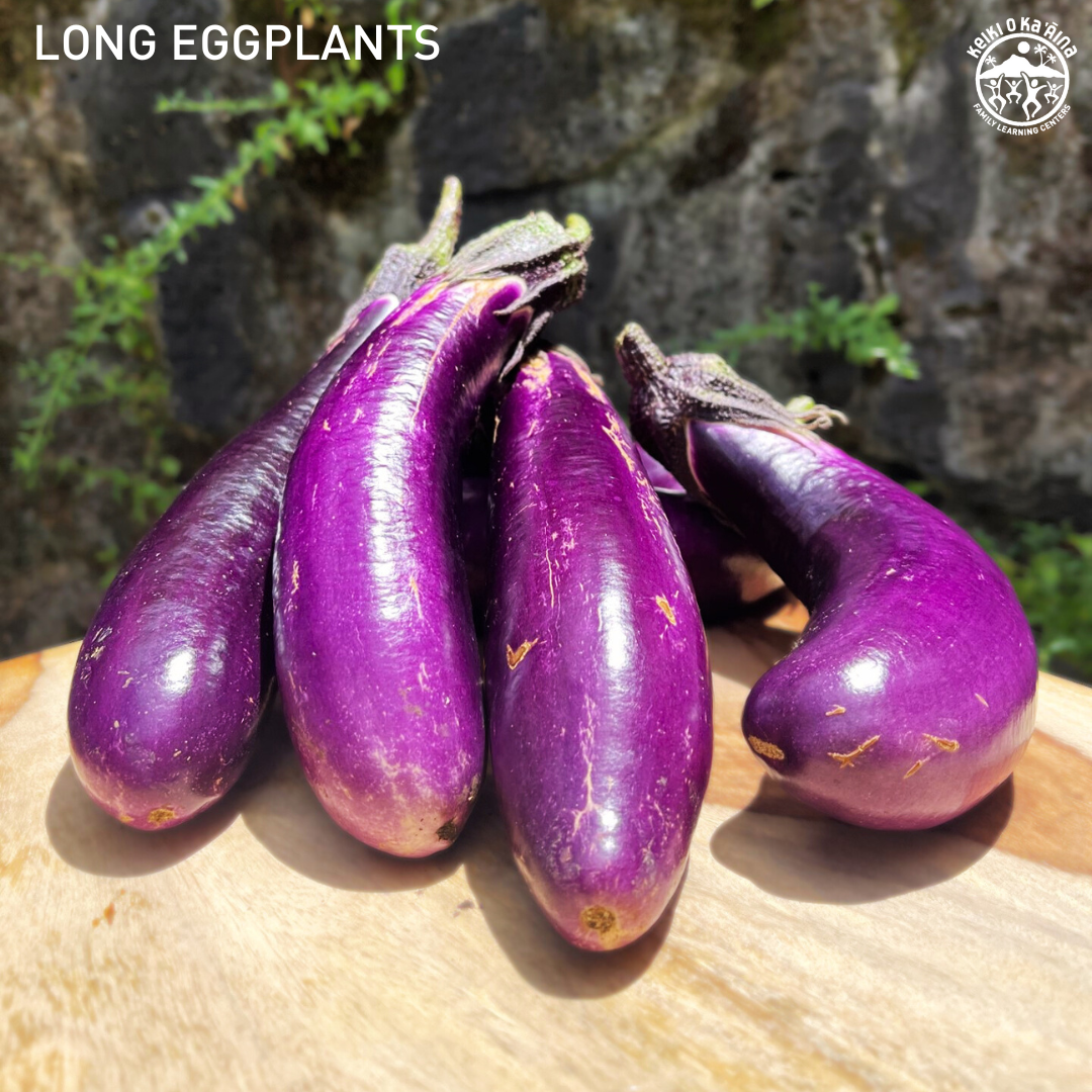 KOKA Farms: Eggplant