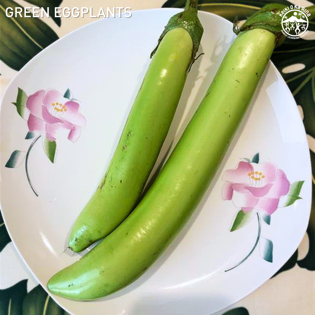 KOKA Farms: Green Eggplant