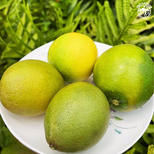 KOKA Farms: Lemons