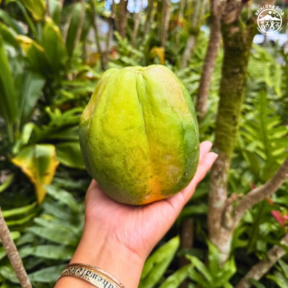 KOKA Farms: Papaya