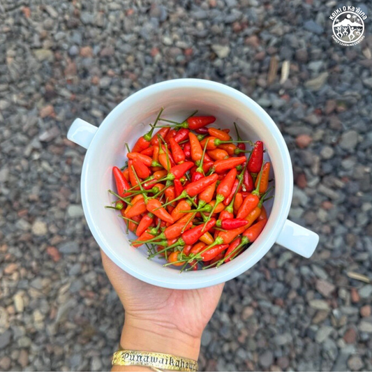 KOKA Farms: Nīoi (Hawaiian Chili Pepper)