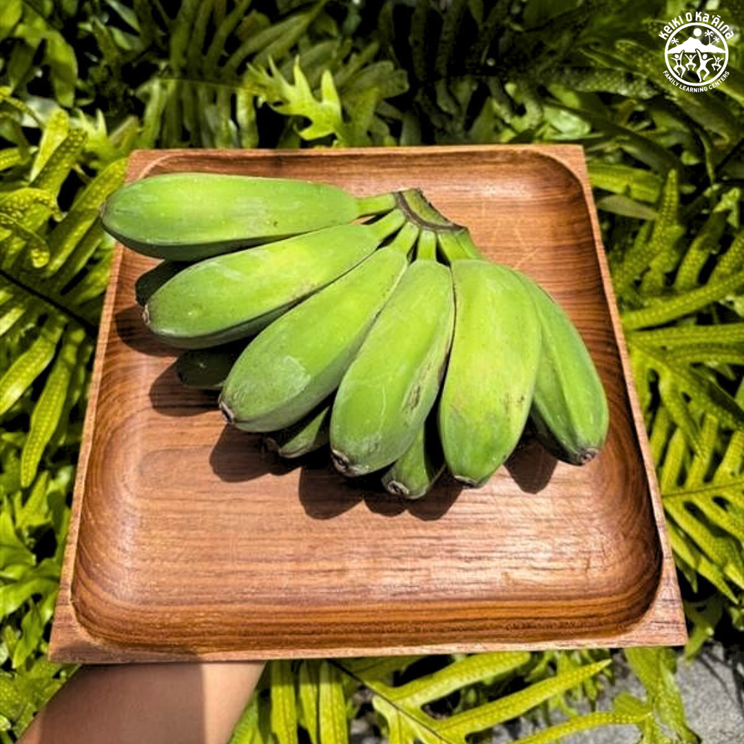 KOKA Farms: Saba Bananas