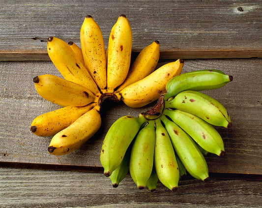 KOKA Farms: Apple Banana 3lbs