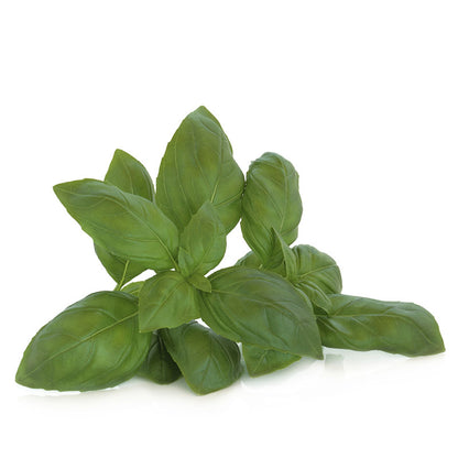 KOKA Farms: Green Basil