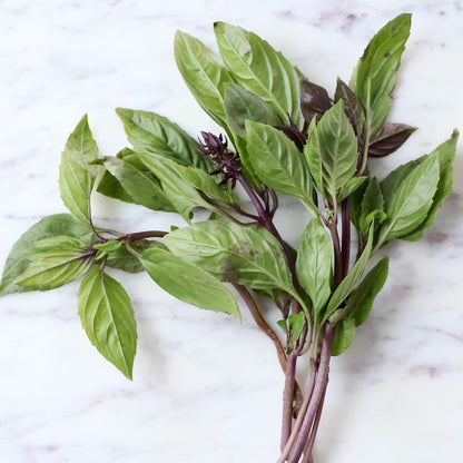 KOKA Farms: Green Basil